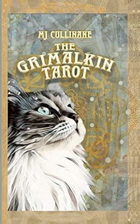 The Grimalkin Tarot: Guidebook : Amazon.in: Books