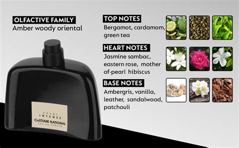 Buy Costume National Scent Intense Eau De Parfum 100 ml Online at Low ...