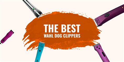 10 Best Wahl Dog Clippers [2026 – Review]