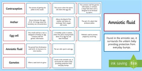 Reproduction Pairs Glossary Activity