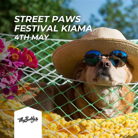 My Buddy And Me on LinkedIn: #mybuddyandme #petcare #petshampoo # ...