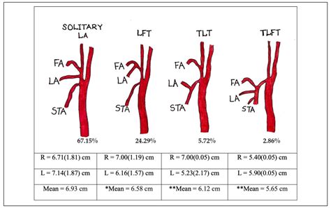 The Journey of the Lingual Artery from the Neck to the Oral Cavity: A ...