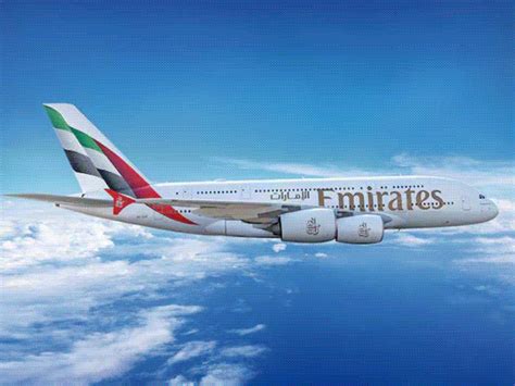 Mumbai Ghatkopar Flamingo Bird Death Reason| Emirates Flight EK 508