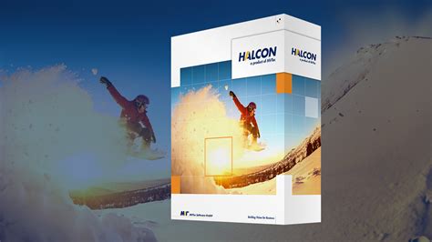 Image result for MVTec Halcon Defect