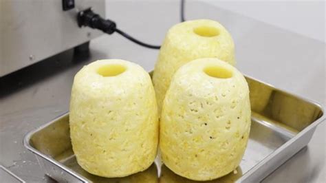 Pineapple Peeling machine with Coring attachment for KA-750PM/KA-720P ...