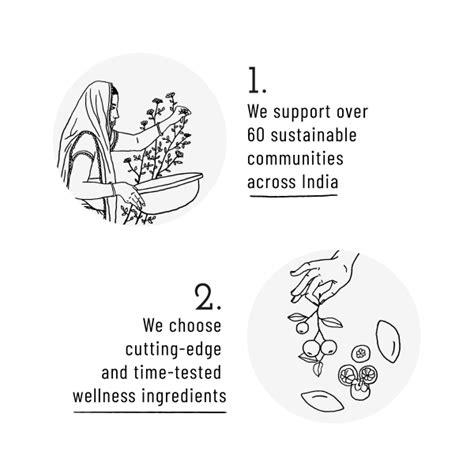 Tree Plantation by Kheoni – Grow a Greener Future