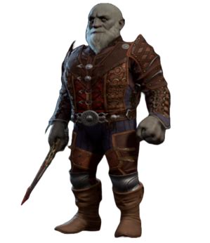 Orgarth - Baldur's Gate 3 Wiki
