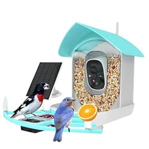 Bird Feeder with Camera, Auto Capture Wiress Bird Feeder Camera, AI ...