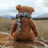 a shell of mass 0.01kg is force by a gun of mass 10kg. if the muzzle ...