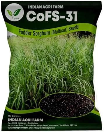 Iagrifarm Super Napier Grass Seed - 500 gram(Approx. 8000 Seeds) / High ...