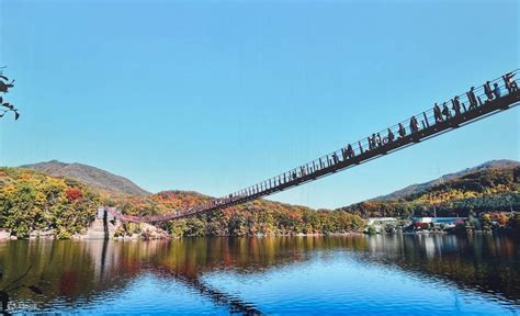 DMZ 2nd tunnel + Lake Suspension Bridge - Klook India