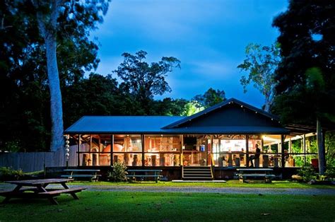 CAPE TRIBULATION CAMPING (Daintree Region, Australia) - Campground ...