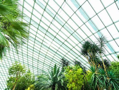Using nature as a blueprint in architecture | Meer