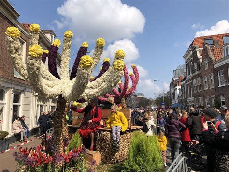 Парад цветов Bloemencorso 2026: маршрут, билеты, программ