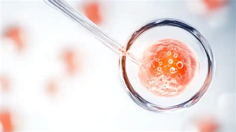 What is the Average IVF Treatment Cost in Hyderabad?
