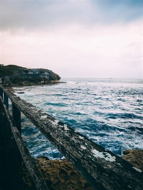 Image result for eCopy PDF Pro User Manual