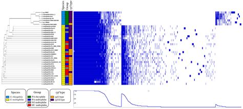 Comparative Genomics of Stenotrophomonas maltophilia and ...