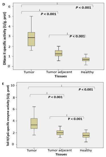 The Role of Nucleases Cleaving TLR3, TLR7/8 and TLR9 Ligands, Dicer ...