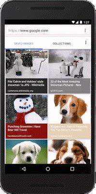 Google ci consente di non perdere le immagini cercate su Internet da mobile