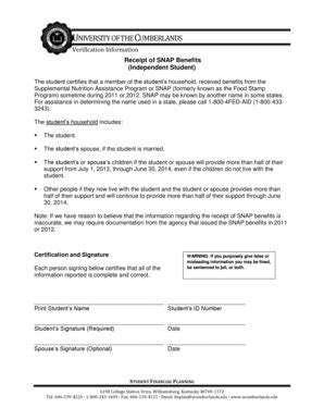 SNAP Benefits Verification Form - Blank Fillable Template | Fill Out ...