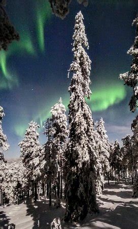 Arktikum (Rovaniemi) - 2020 What to Know Before You Go (with Photos ...