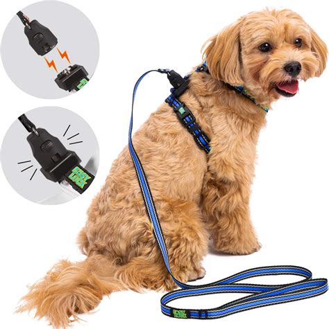 Amazon.com : Easy Lock Dog Harness and Leash Set for Small Large Dogs ...