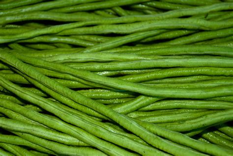Are Long Beans Green Beans at Susan Cochrane blog