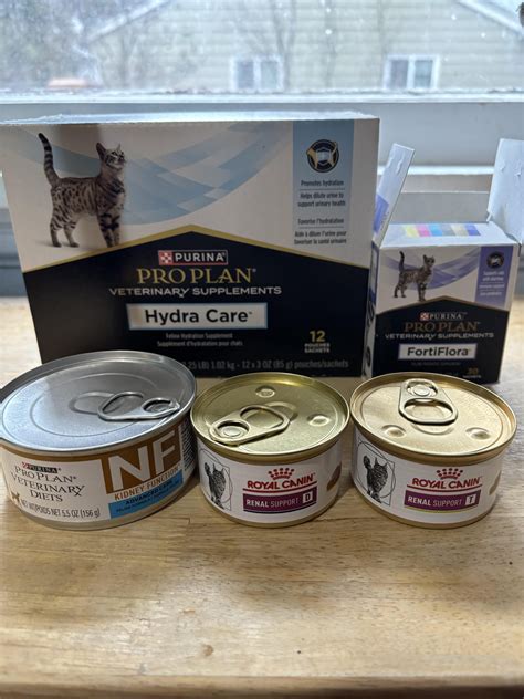 Stage 2 Kidney Disease in Cats: Essential Care Tips for Owners - Breeds of Cat