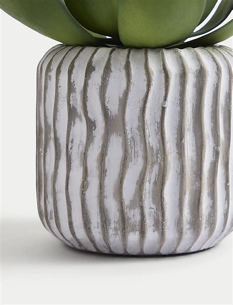 Buy Artificial Succulent in Concrete Pot at Marks & Spencer