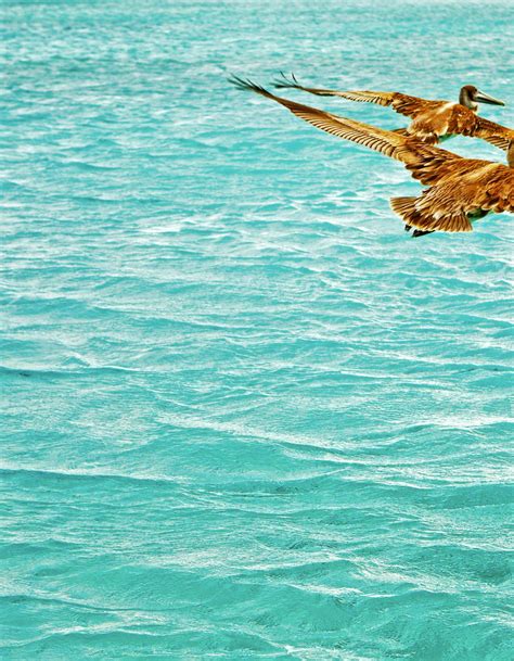 Best places to visit in the Florida Keys - Lonely Planet