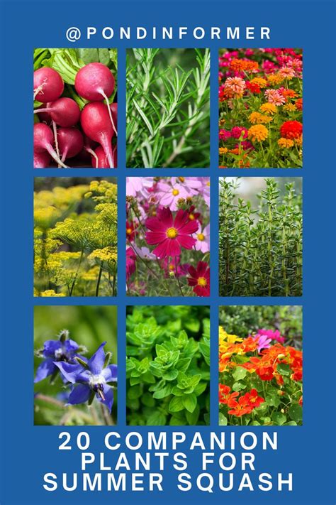 Image result for Python Emoji Code Tree Bee Flower
