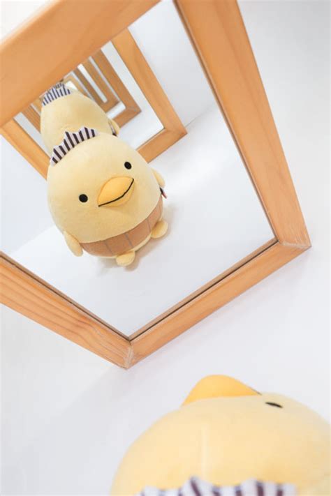 Image result for Recursive Effect