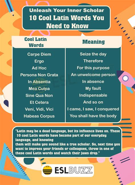 Latin Words And Meanings