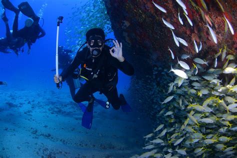 Discover the Underwater Wonders of Maravanthe: A Guide to Scuba Diving ...