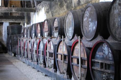 Distillerie Calvados (Livarot) - 2021 What to Know Before You Go (with ...