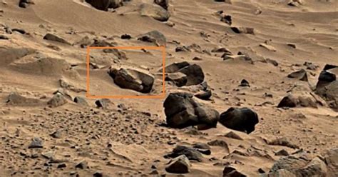 Researcher claims to have discovered ancient Egyptian sarcophagus on ...