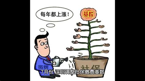 深户社保一档交多少钱 - 业百科