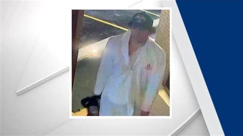 Man in custody after inciting terror with chainsaw at NC hotel