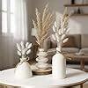 Buy ﻿PUREZENTO KONSO Family White Ceramic Vase - Set of 3 | Unique ...