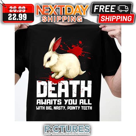 Image result for Monty Python Rabbit Meme