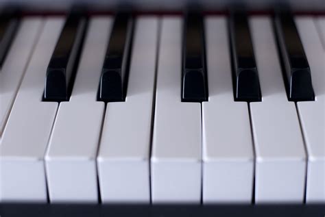 Image result for Piano Roblox Corpse Bride