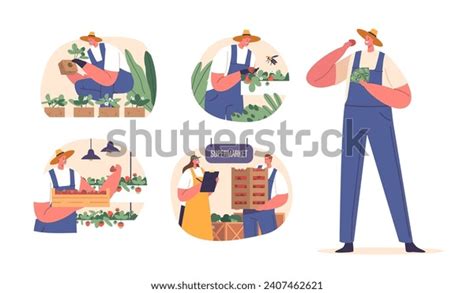 Round Cartoon 的图像结果