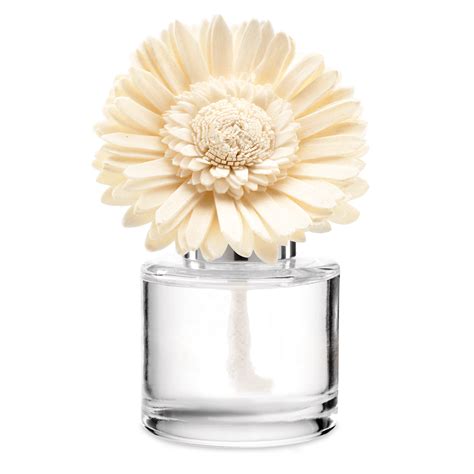 Pinkberry Sandalwood Fragrance Flower - Dainty Daisy | Scentsy Online Store