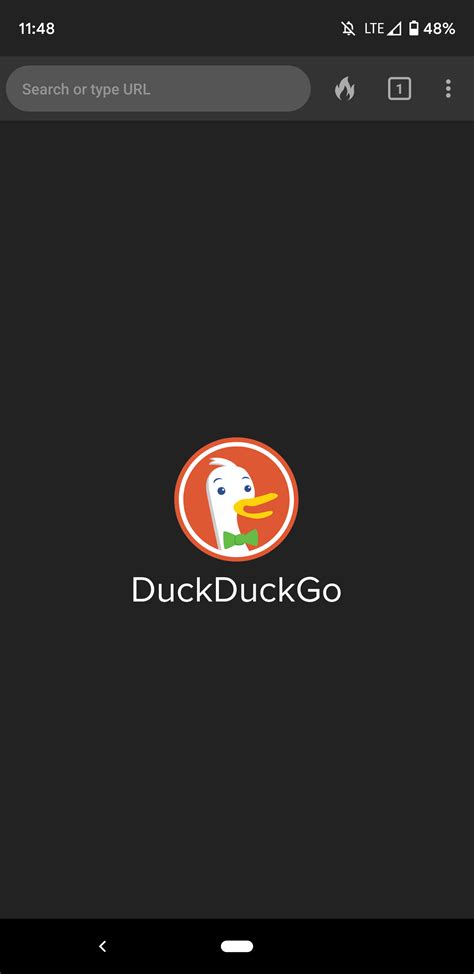 DuckDuckGo Internet Explorer 的图像结果