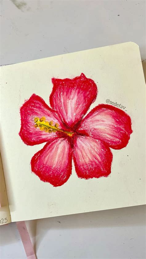 Hibiscus flower painting with oil pastels 🌺 | Oil pastel drawings easy ...