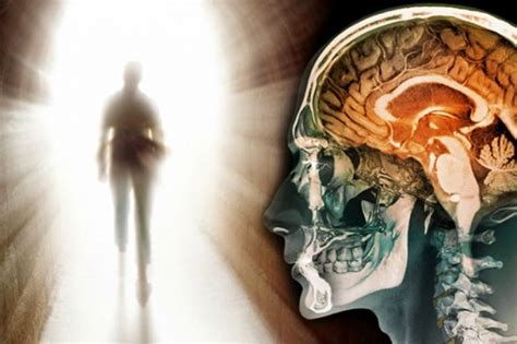 Did You Know Your Brain Continues To Work And Is Aware That You’re Dead ...