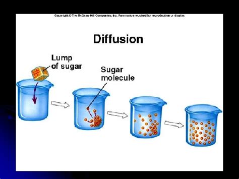Water Diffusion 的图像结果