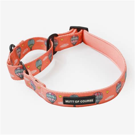 Hot Air Balloon Martingale Collar For Dogs – Mutt of Course