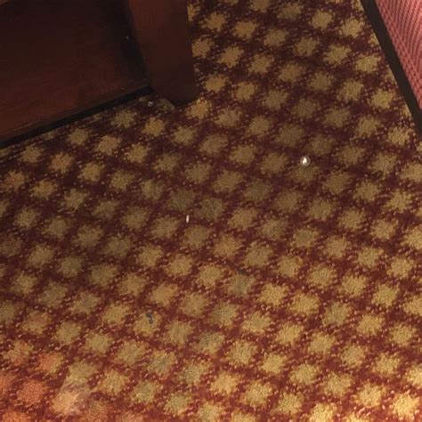 DANCING RABBIT INN (Philadelphia) - Hotel Reviews, Photos, Rate ...