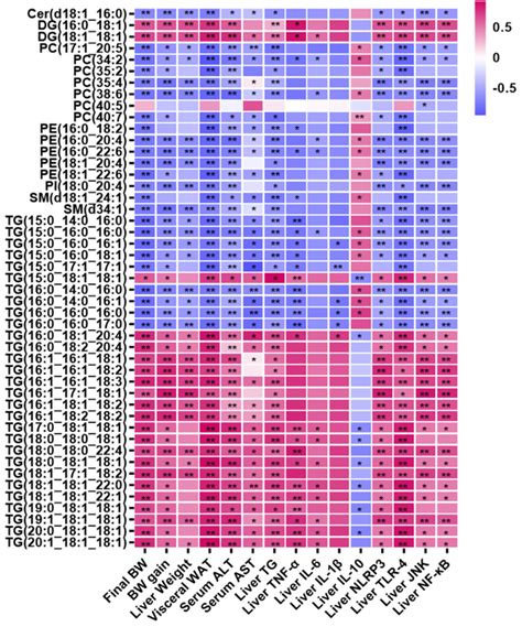 Liver Lipidomics Analysis Revealed the Novel Ameliorative Mechanisms of ...